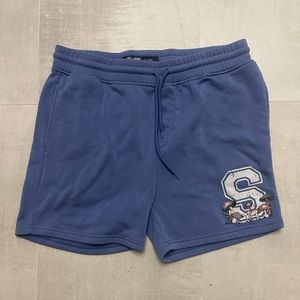Varsity Style Seat Shorts